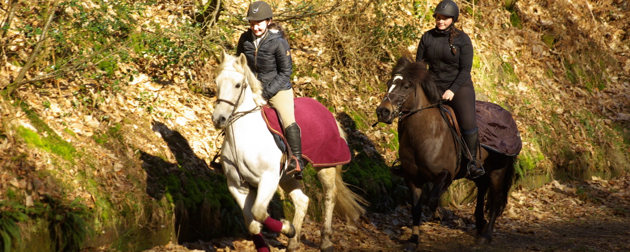 Le canal de Nantes à Brest à cheval - CP EmiliaBellezit