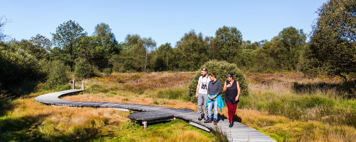 Réserve Naturelle de Lan Bern à Glomel - CP Loeildepaco