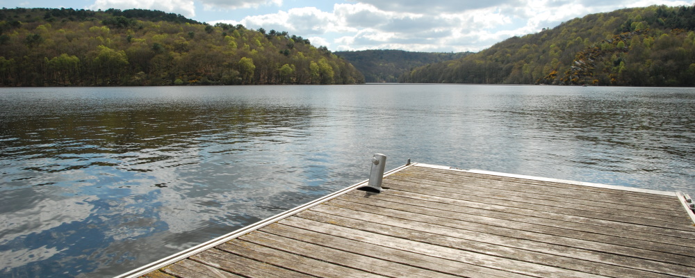 tregnanton vue lac guerledan 3DominiqueHerve