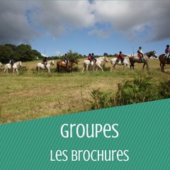 Groupes - les activités