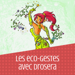 Eco-gestes