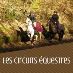 Les circuits équestres