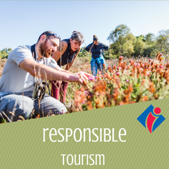 Responsible tourism