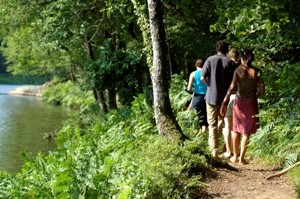 La forêt de Beaucours