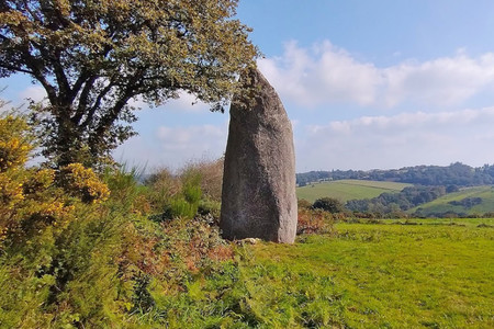 Les menhirs de Kergornec