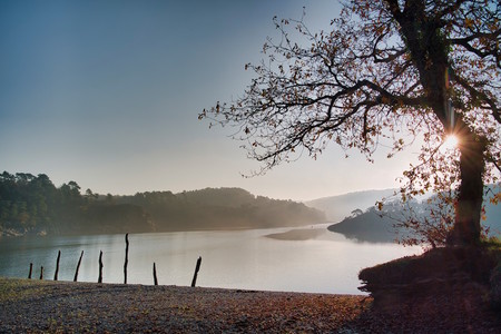 Lac de Guerlédan