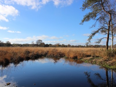 Les landes de Lan Bern - Réserve Naturelle