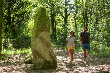 Les landes de Locarn