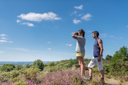 Les landes de Locarn