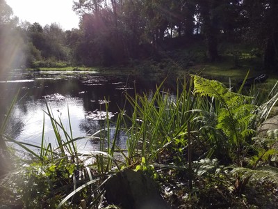 La Vallée des Bambous