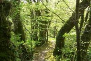 Le marais de Magoar-Penvern - Réserve Naturelle