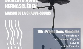 Projections Nomades : Impact Sauvage