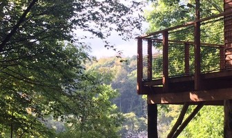 Cabane sur pilotis de Quénécan