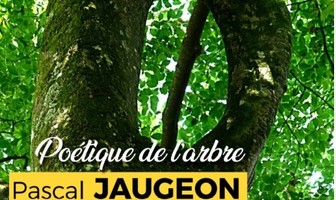Exposition à la Galerie Livandour | Poétique de l’arbre