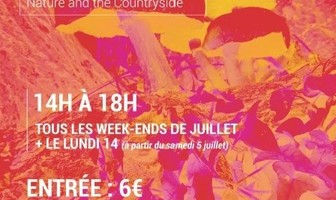 Exposition d&#039;Eté - Groupe Art et Textiles AIKB