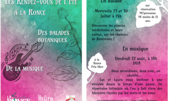 Balades Plantes médicinales