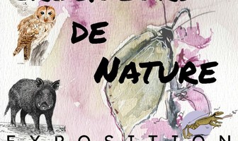 Expo | Croqueurs de nature