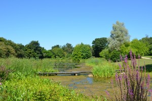 Jardin de Kervézennec