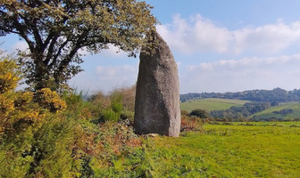 Les menhirs de Kergornec