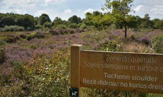 Les landes de Lan Bern - Réserve Naturelle