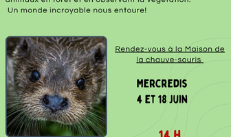 Naturalistes en herbe !
