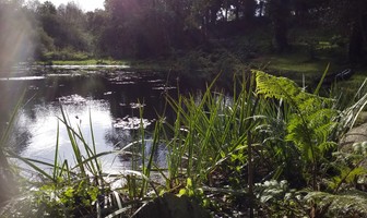 La Vallée des Bambous