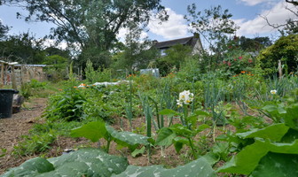 Chez le Rouquin qui roule