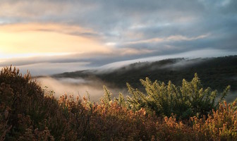 La vallée du Daoulas