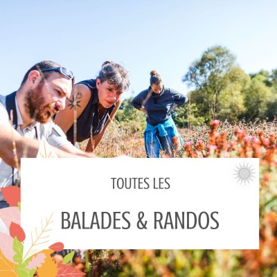 balades randos bretagne